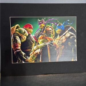 Teenage Mutant Ninja Turtles Pic